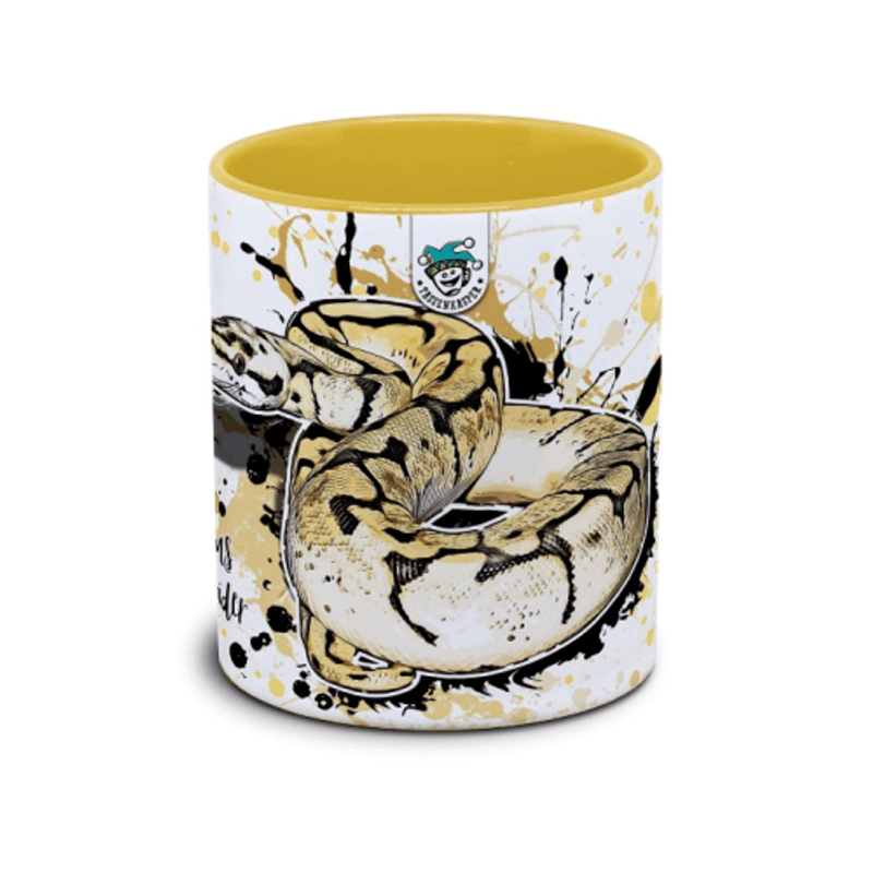 KAFFEKOPP KONGEPYTON / PYTHON REGIUS PASTEL SPIDER