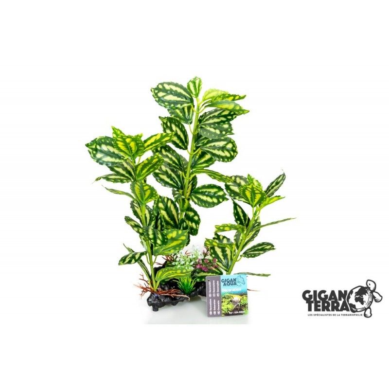 Hebe 35cm - 00664