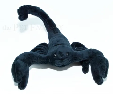 Hovedbilde Skorpion