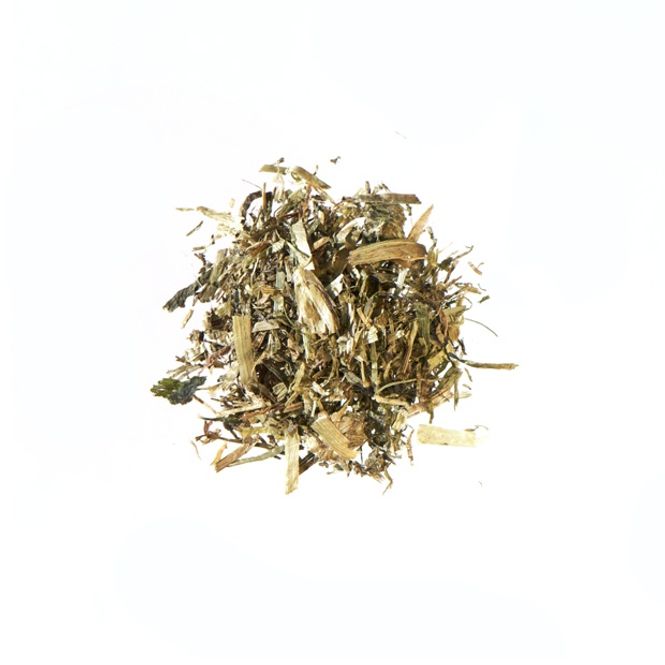 Hovedbilde TESTUDO FIBRE 