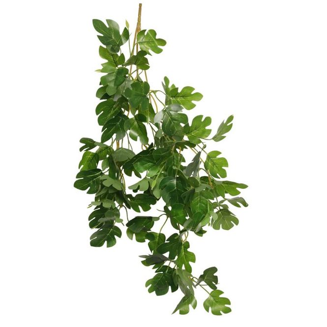Hovedbilde HabiStat Hanging Vine Hyposis 60cm