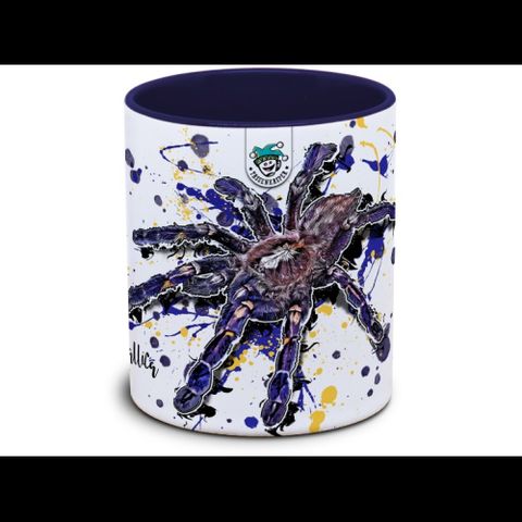 Hovedbilde KAFFEKOPP TARANTELLA /  POECILOTHERIA METALLICA