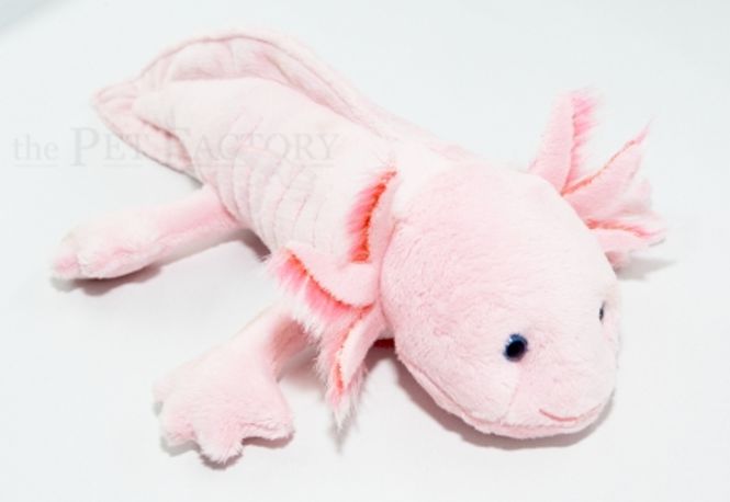Hovedbilde Axolot Rosa