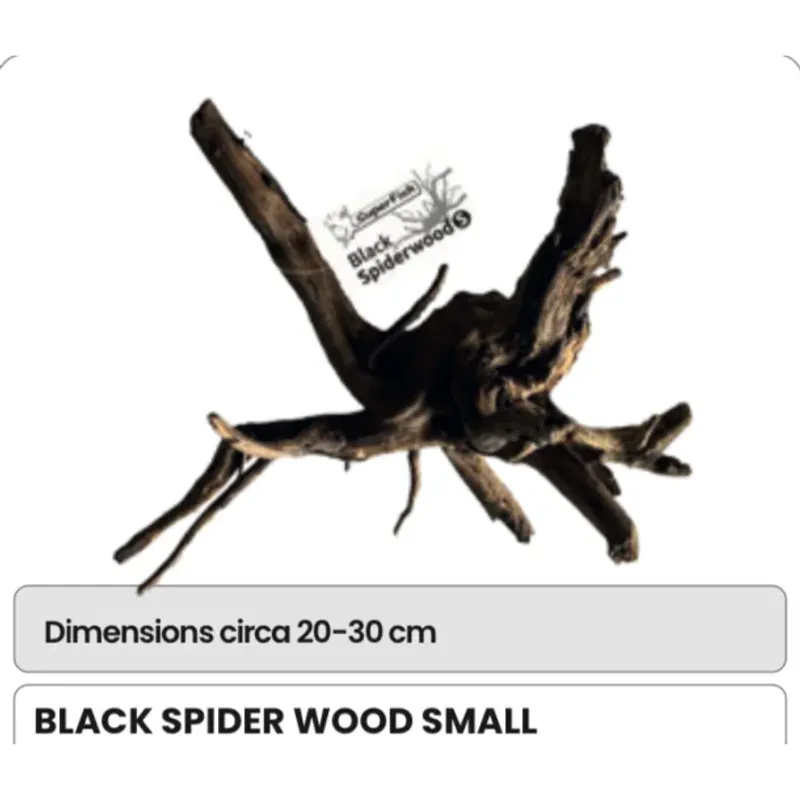 BLACK SPIDER WOOD S  / ca 20-30cm
